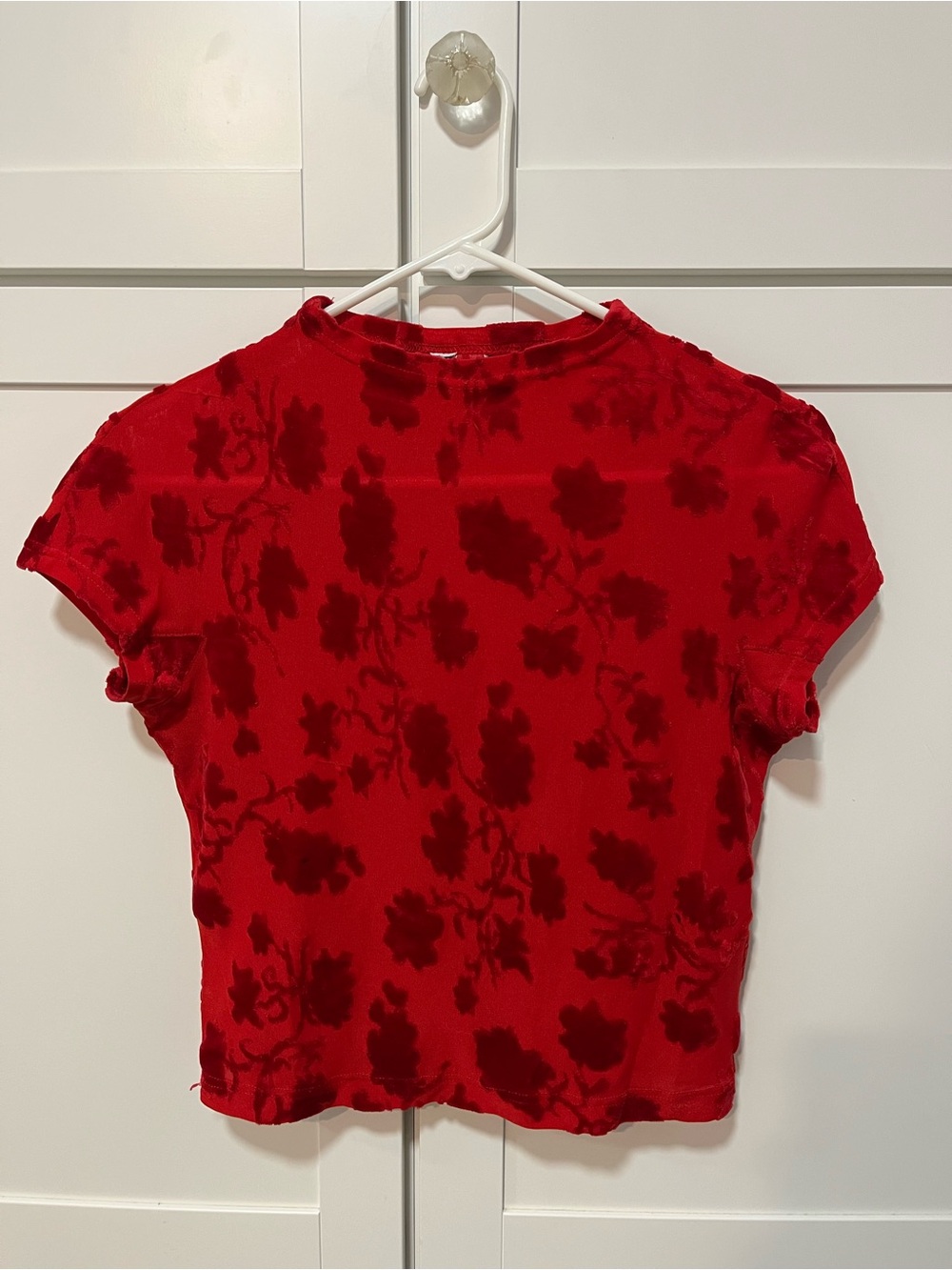 Vintage Y2K Burnout Velvet Top Lipstick Red